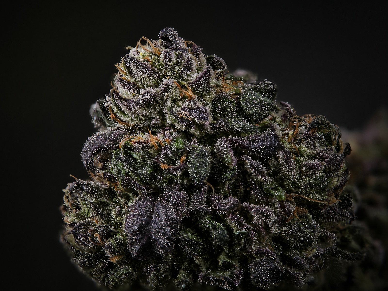 Death Star flower