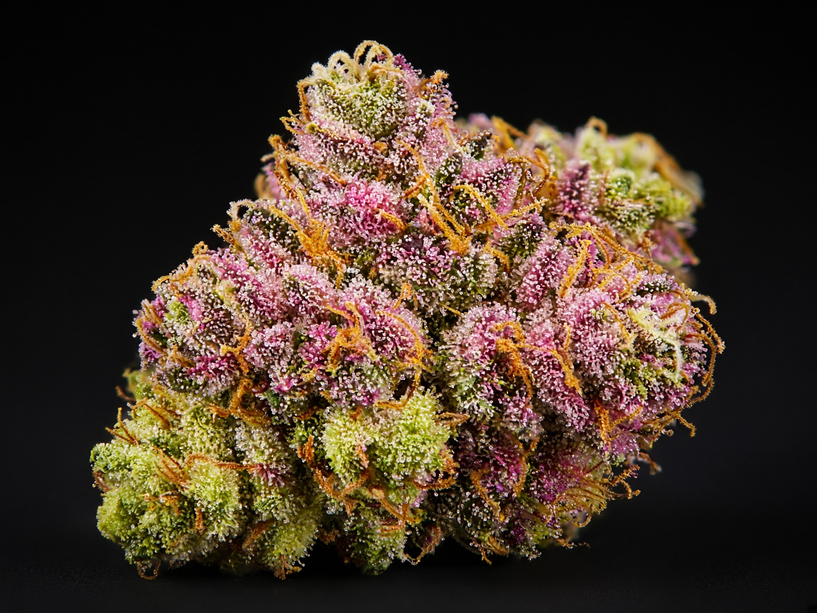 Rainbow Loop flower